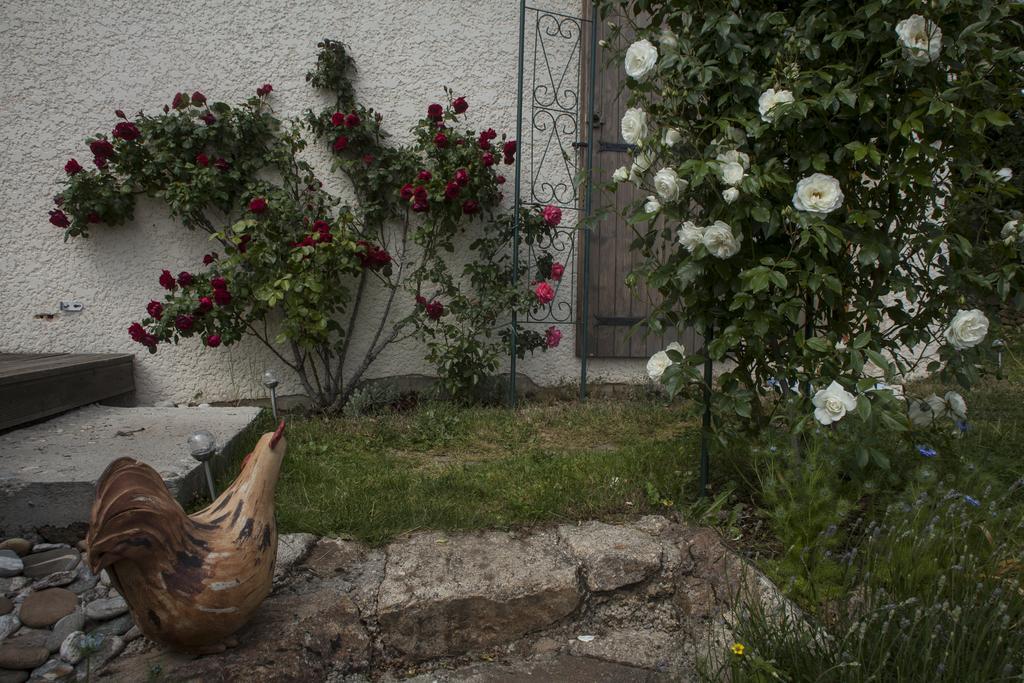 Chambre D'Hotes La Bichette Chassagny Exteriör bild