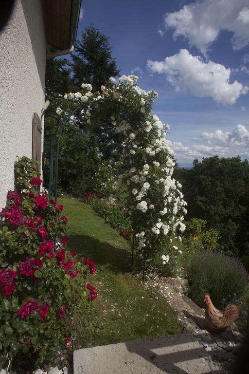 Chambre D'Hotes La Bichette Chassagny Exteriör bild